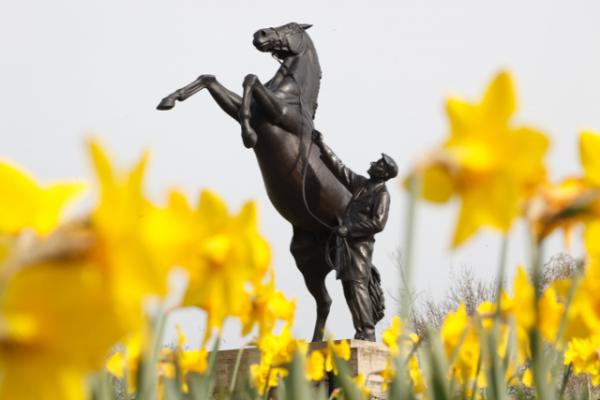 Newmarket Racehorse statue- C. Mil - Large